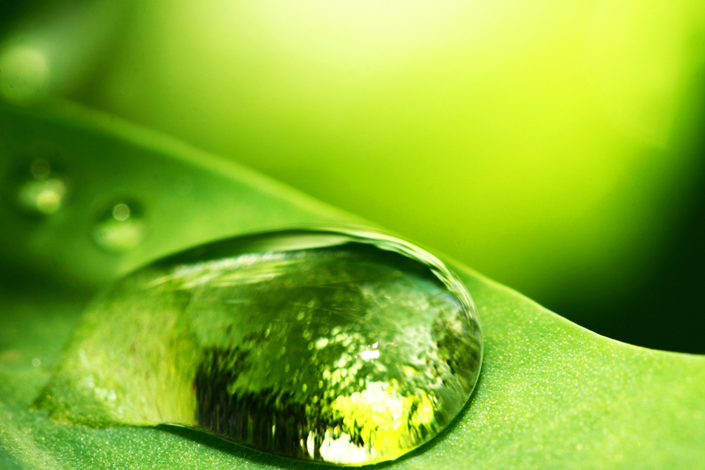 вода и молитвы