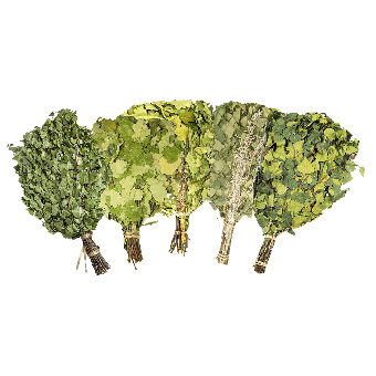 Saunareisig-Set 5-teilig