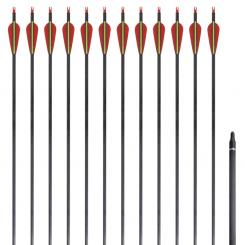 Стандартные стрелы для рекурсивного лука 30" 0,76 см карбон 12 штук