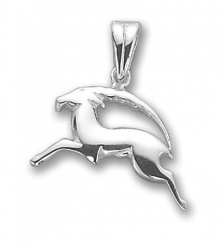 Attractive pendant Zodiac sign - Capricorn 22.12 - 20.01, silver 925, height approx. 31 mm