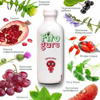 Fitoguru Intellect Напиток сокосодержащий с гранатом, рябиной и мелиссой, 280 мл