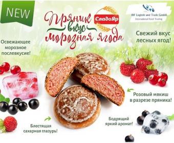 SladoJar Prjaniki with frozen berry flavor, 350 g