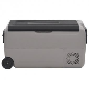 Kühlbox mit Rollen und Adapter Schwarz & Grau 50 L PP & PE