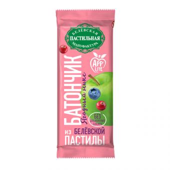 MAXI set: 3 types of baked apple desserts + 2 types of Pastila bars + 3 types of apple bars