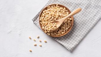 Siberian Cedar Set: Pinienkerne 500g + 500g + 100g