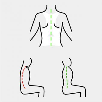 Magnetic back support