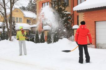 B-Ware TORNADICA Ergonomische Schaufel mit zwei austauschbaren Schaufelblätter