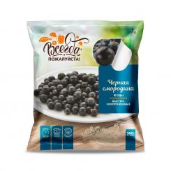 Immer Gerne! Schwarze Johannisbeere, 300g (tiefgefroren)