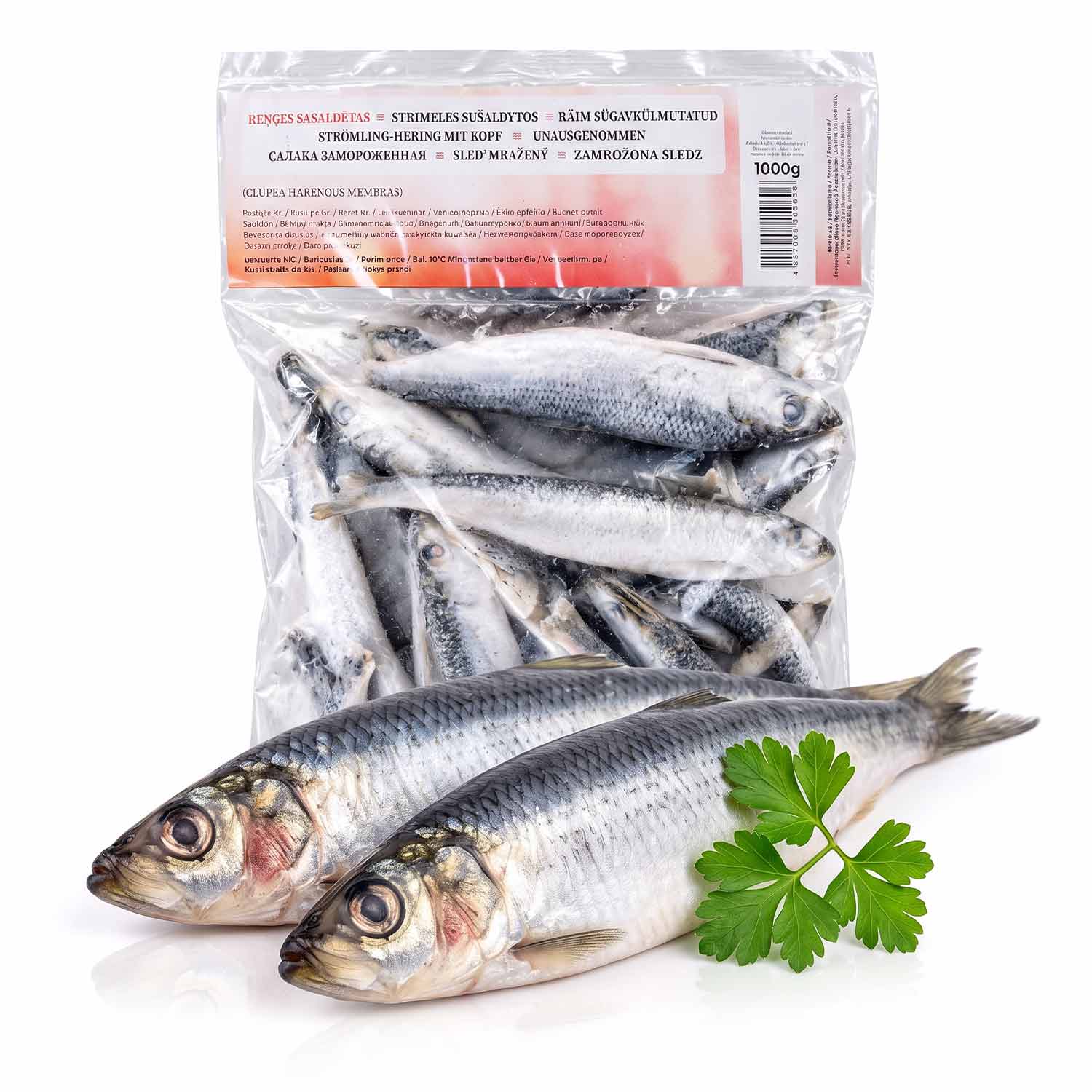 Fischbox für die Woche: Strömling-Hering & Whiteleg Garnelen für die Vorratsküche